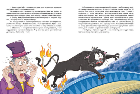 Корсар, або пухнаста історія з кігтями