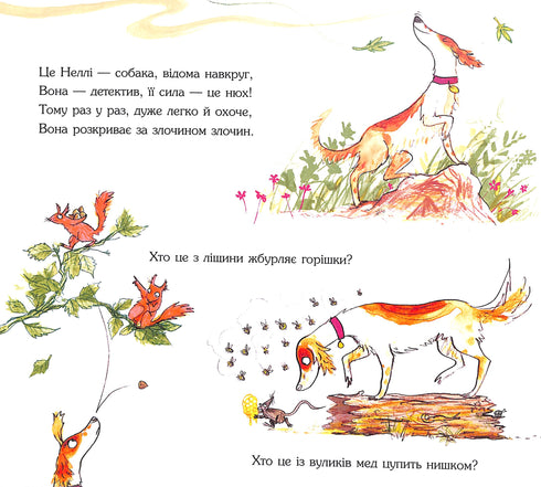 Inspecteur Nelly en de boekenrover