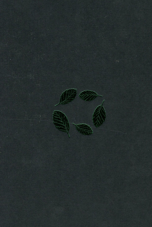 Terre de hêtre - 9786175851791