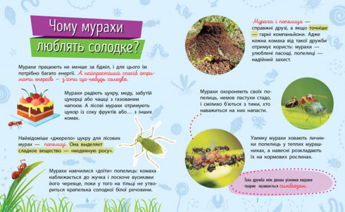 Waarom ben je zo schattig? Insecten