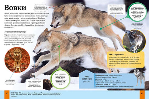 Encyclopédie des animaux pour enfants