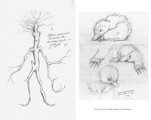 Les animaux fantastiques. Les secrets de Dumbledore. Scénario original - 9786175853856