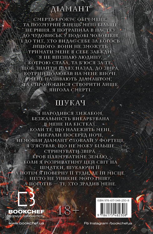 A game of cat and mouse. Book 2: The Hunt for Adelina