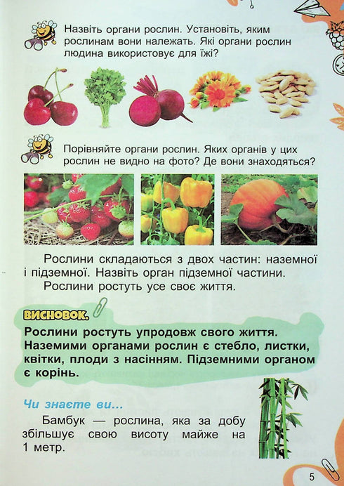 I Explore the World. Textbook. Grade 1. Part 2