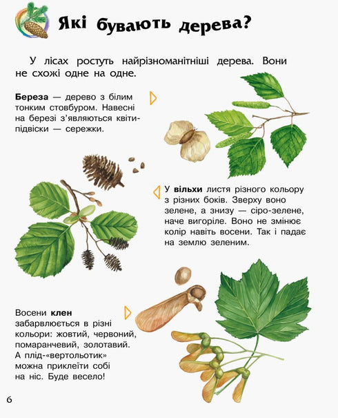 Encyclopédie de l'enfant d'âge préscolaire. Forêt