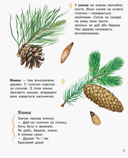 Encyclopédie de l'enfant d'âge préscolaire. Forêt