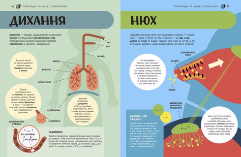 Енциклопедія STEM для дітей. 100 понять майбутнього генія