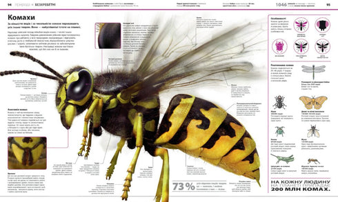 Encyclopedia of Knowledge