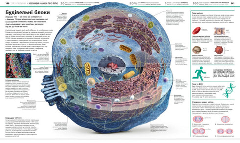 Encyclopedia of Knowledge