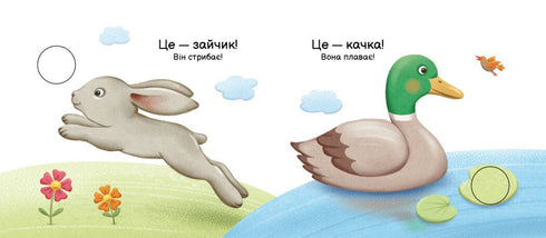 Qui sait faire quoi ?