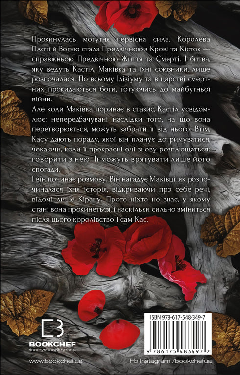 Кров і попіл. Душа з попелу та крові