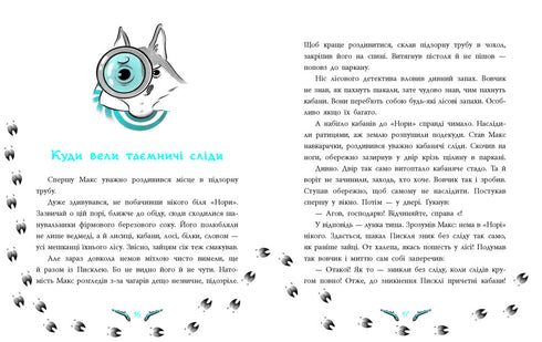 Bosdetective. Het mysterie van de vermiste hazen