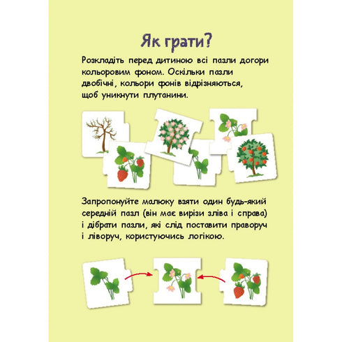 Chaînes logiques. Les bébés animaux et leurs familles