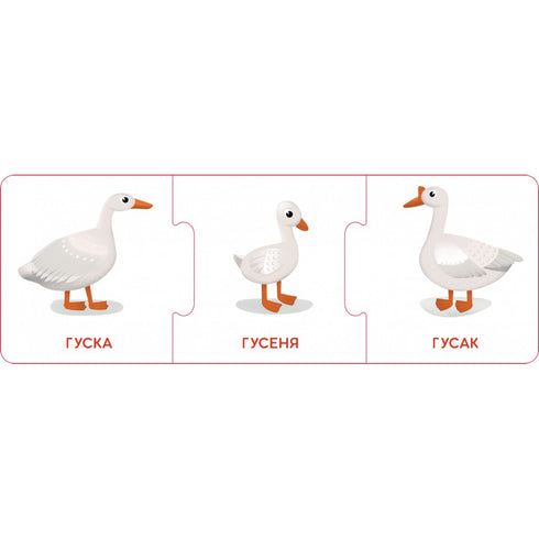 Chaînes logiques. Les bébés animaux et leurs familles