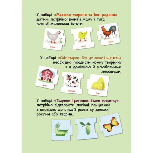 Chaînes logiques. Monde animal. Qui vit où et ce qu'ils mangent