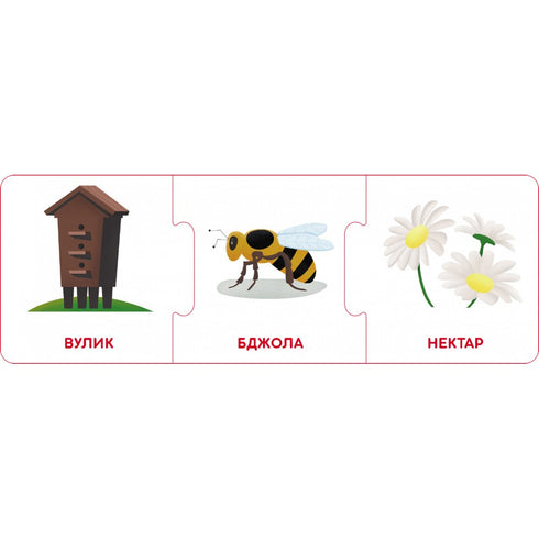 Chaînes logiques. Monde animal. Qui vit où et ce qu'ils mangent