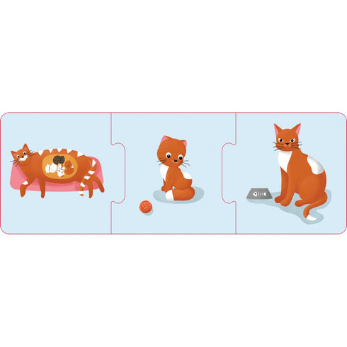 Logical chains. Animals and plants. Stages of development