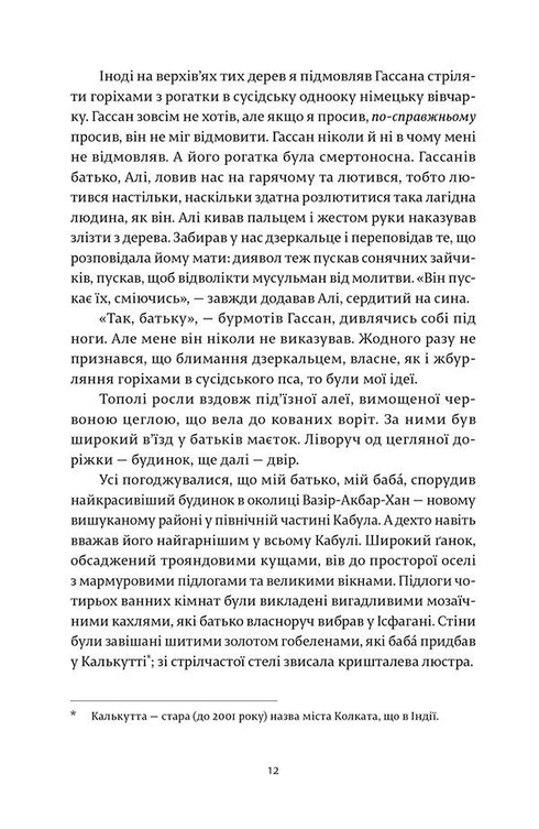 Ловець повітряних зміїв