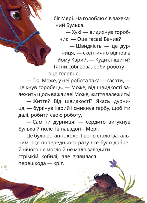 Мері. Казкова повість