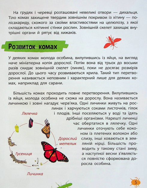 Mini encyclopedia. Insects and spiders