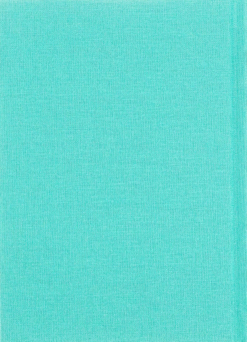 Sur la rive d'argent - 9786175850411