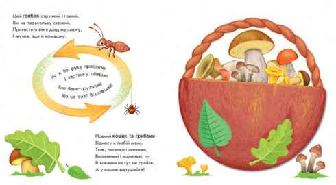 Draai het om! Wat is er gebeurd? Wonderen in de natuur