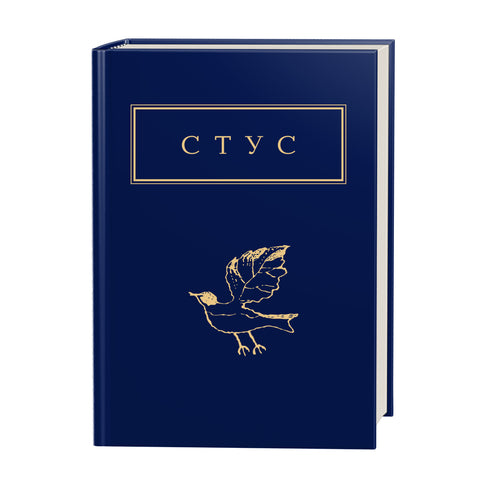 Palimpsesten - 9786175852194