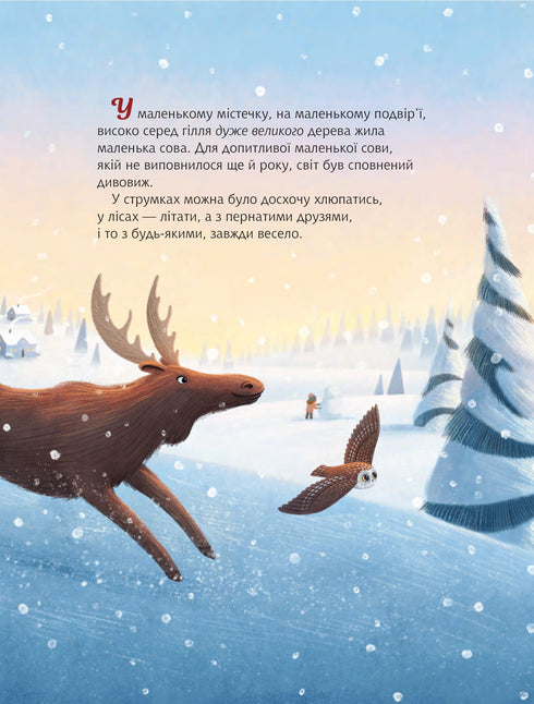 Chouette de Noël : Basé sur l'histoire vraie de la petite chouette Rockefeller - 9789661091978