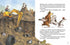 Шалений тиждень професора Брумма
