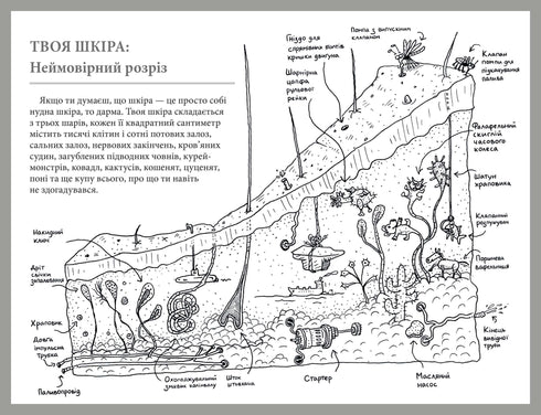 Wat voor soort orgel is dit? Een dwaze gids voor de anatomie van je lichaam