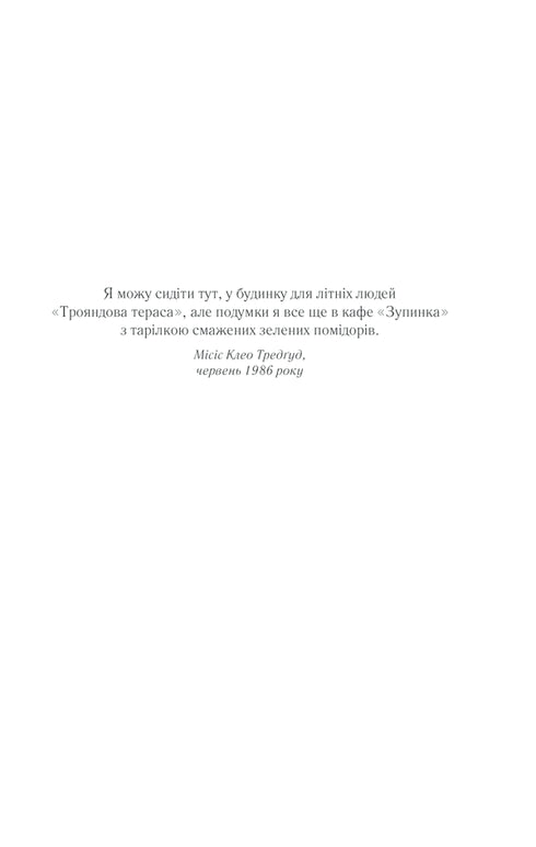 Gebakken groene tomaten in het café "Zupinka"