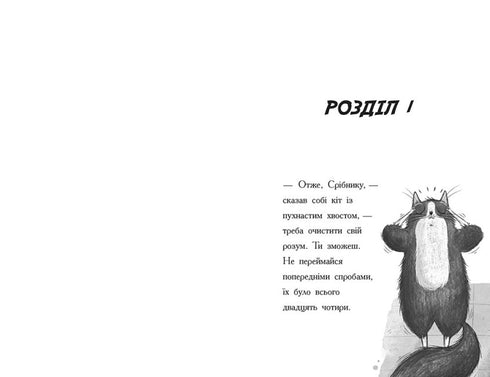 Toto. Le chat ninja et l'affaire du vol de fromage. Livre 2