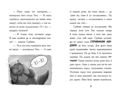 Toto. Le chat ninja et l'affaire du vol de fromage. Livre 2