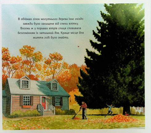 Jevryk et Zharinka - 9786178100124