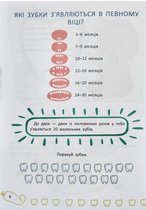 Baby teeth. All about caring for your teeth