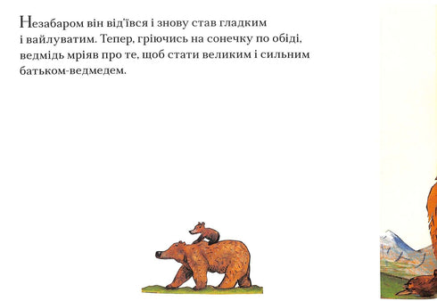 De beer is een wonder