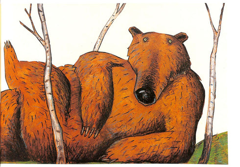 De beer is een wonder