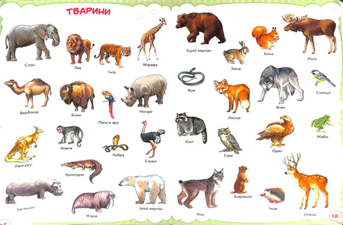 Des bébés sur tout dans le monde