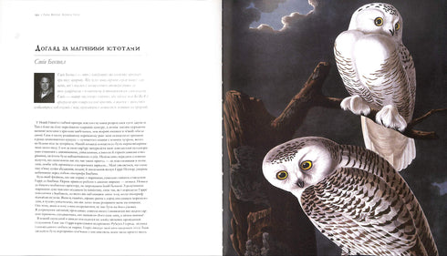 Harry Potter. Histoire de la magie