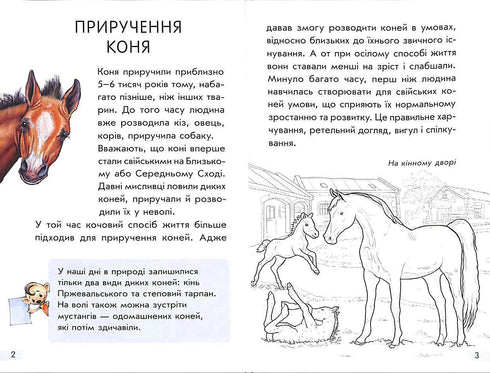 Mini-encyclopédies. Tout sur les chevaux (épuisé)