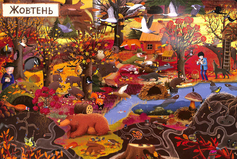 A year in the forest