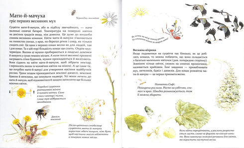 Expédition avec la fourmi Sophie. Explorons la nature qui nous entoure.