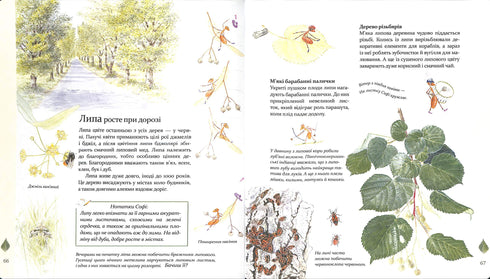 Expédition avec la fourmi Sophie. Explorons la nature qui nous entoure.