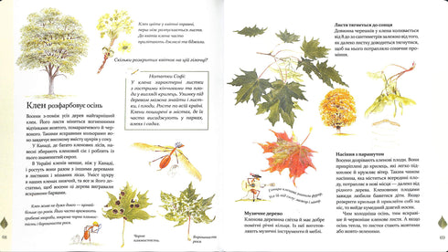 Expédition avec la fourmi Sophie. Explorons la nature qui nous entoure.