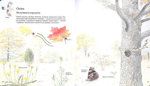 Expédition avec la fourmi Sophie. Explorons la nature qui nous entoure.