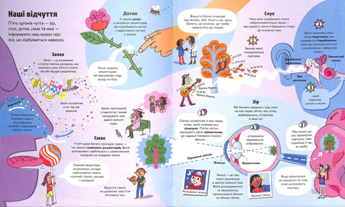 The Big Book About the Body