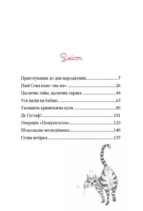 De Magische "Boekwinkel van Wensen". Verjaardag