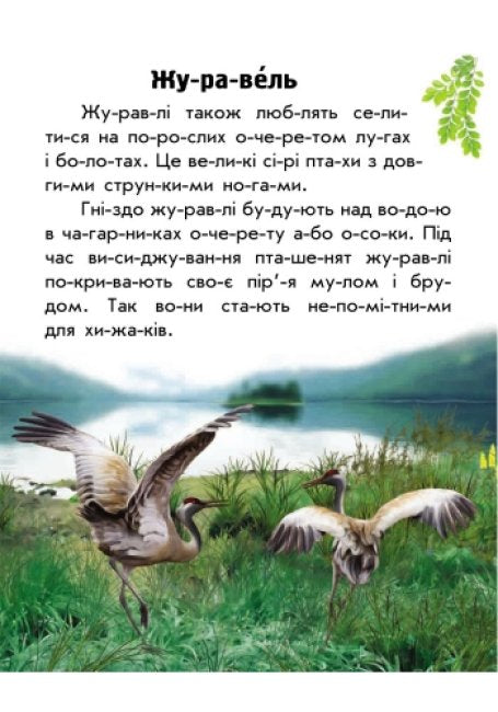 Моя Україна. Читаємо по складах: Тваринний світ лугів і степів