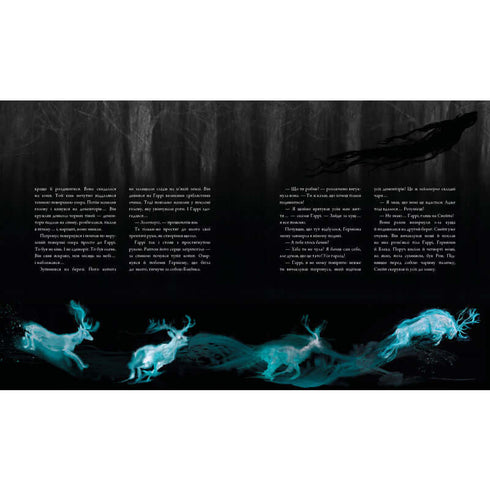 Harry Potter à l'école des sorciers. Grande édition illustrée. Tome 3 (édition ukrainienne)