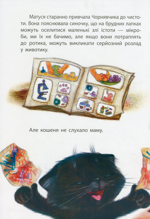 Країна Замазурія